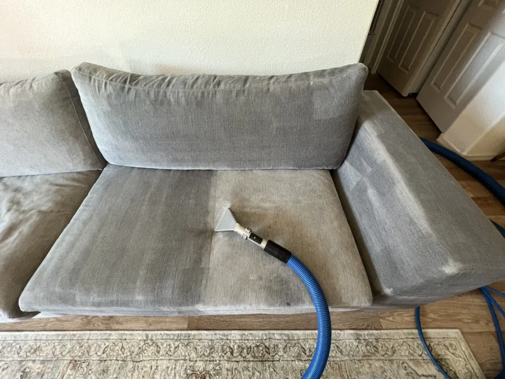 Professional upholstery cleaning service in Phoenix, AZ