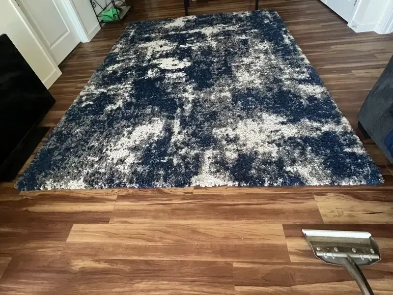 Area Rug Or mattress cleaning in Phoenix, AZ