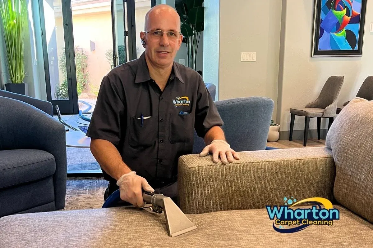 Carpet Cleaners Near Me