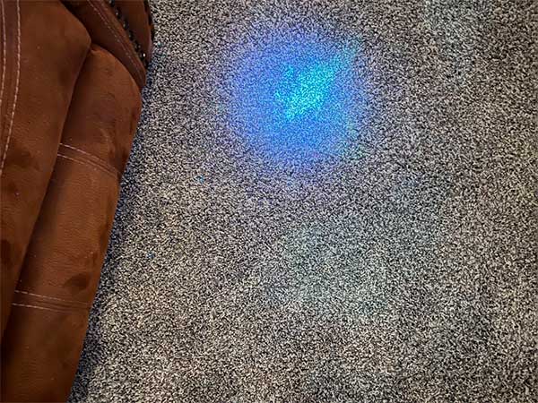 Carpet Cleaning in Surprise, AZ